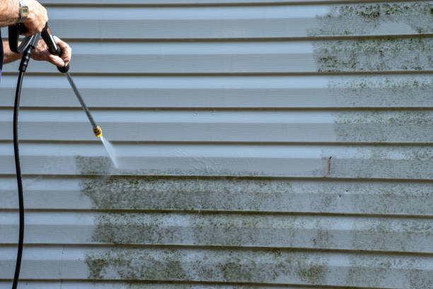 Best Storm Damage Siding Repair  in Bay Village, OH